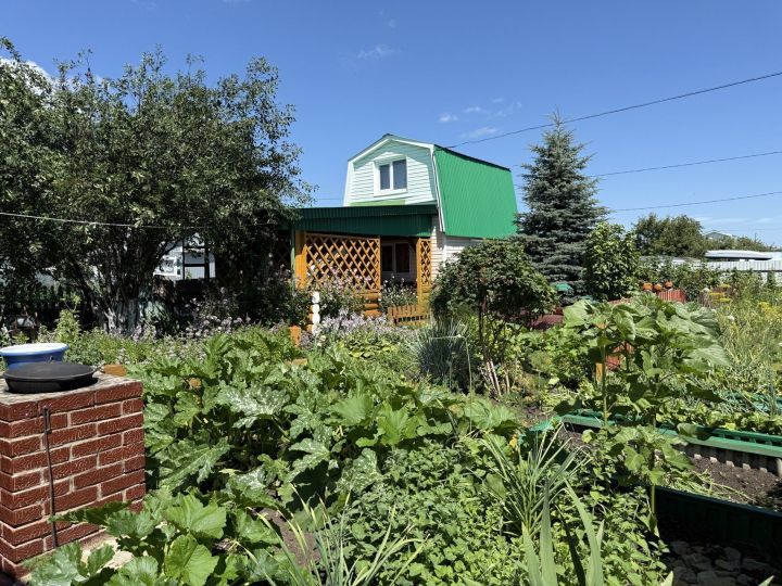 «Помещения без щелей»: топ-5 самых бюджетных дач ноября