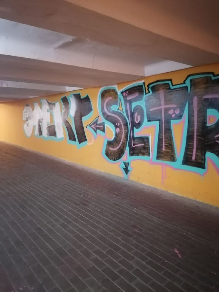 В Челнах зафиксировано 40 случаев вандализма