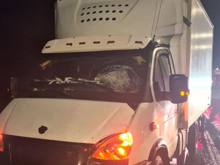 В Татарстане 22-летний водитель «Газели» насмерть сбил пешехода