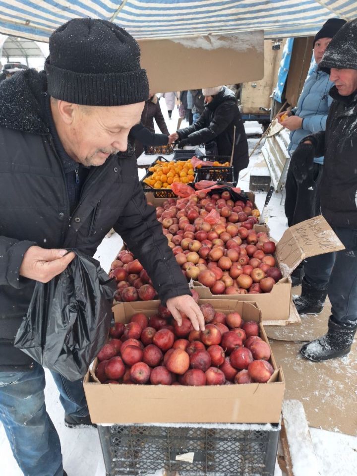 В Набережные Челны завезли более 400 тонн фермерской продукции