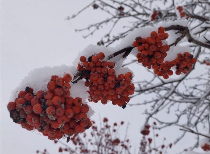 В Челнах завтра обещают солнечный день без осадков