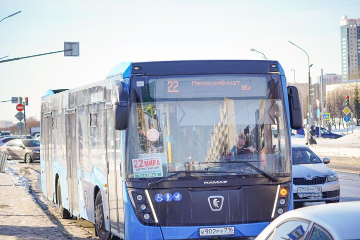 Для обновления парка Татарстану нужно по 110 автобусов в год
