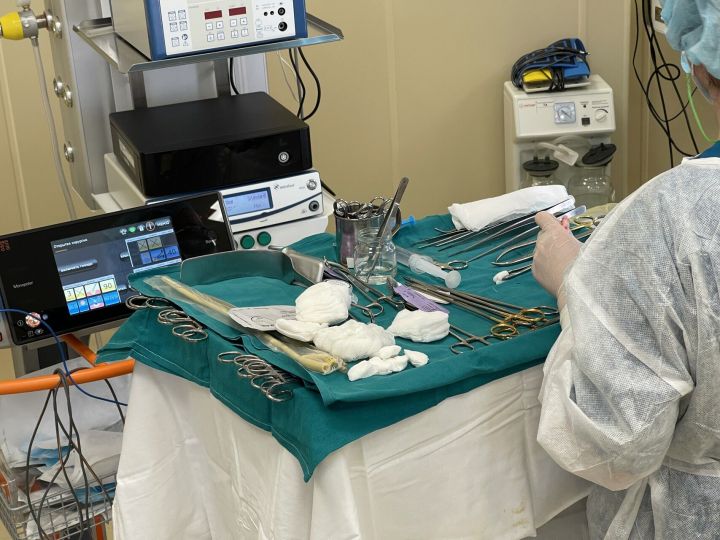 В больнице скончалась девятилетняя девочка, пострадавшая от нападения собак в Татарстане