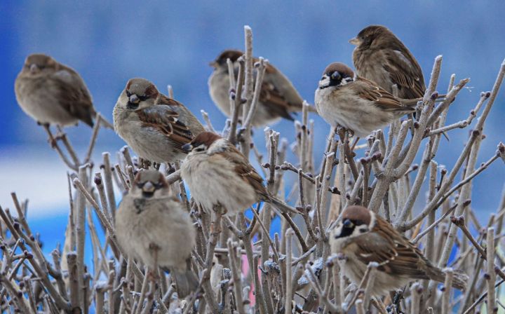 В Челнах завтра потеплеет до 0 градусов