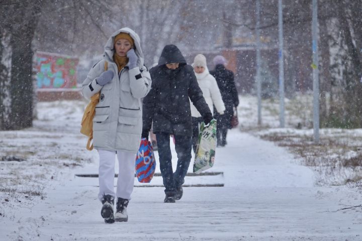 Обучение, доход, бизнес: челнинцы поставили профессиональные цели
