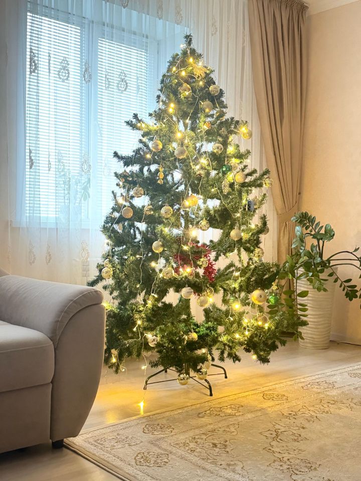 Секреты свежей новогодней елки: пять способов продлить жизнь