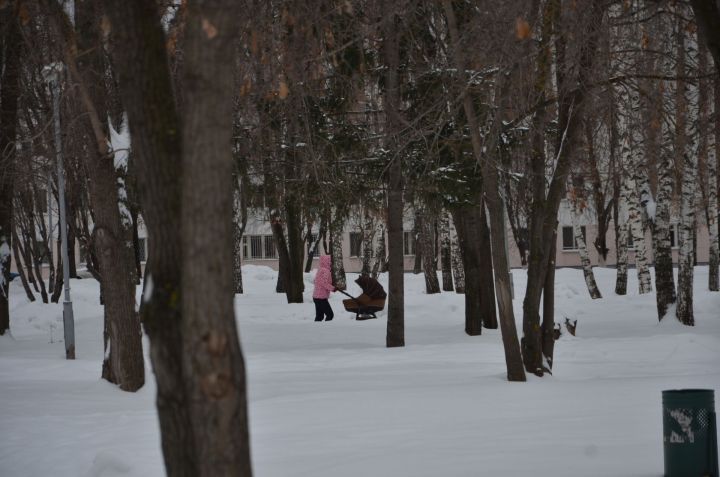 К 1 января световой день станет длиннее на 7 минут