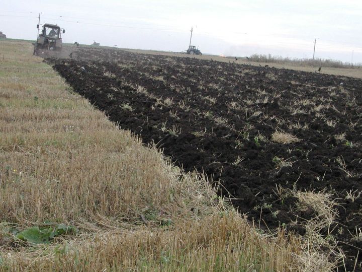 Урожай из Татарстана уходит в Иран, Италию, Китай, Германию