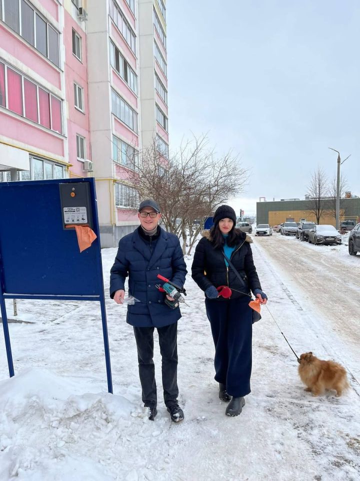 Добровольцы установили в Челнах ящики для уборки за собаками