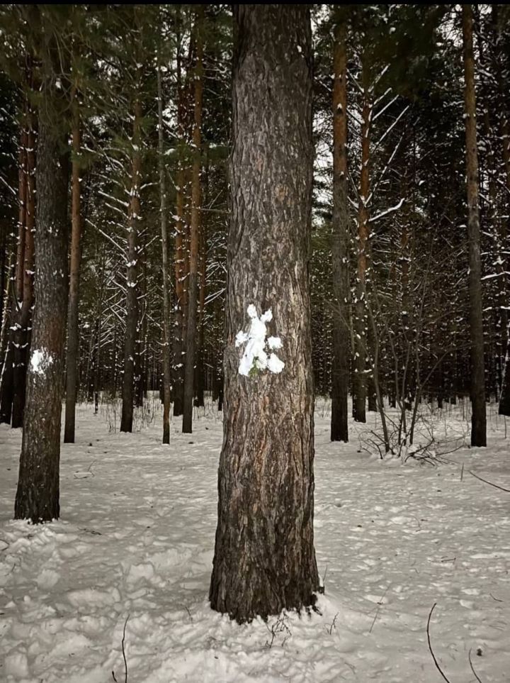 В Татарстане ночью ожидается сильный мороз до -32 градусов