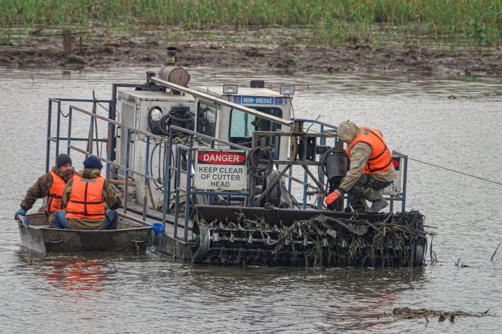 Расчистку реки Мелекески в Челнах планируют завершить досрочно
