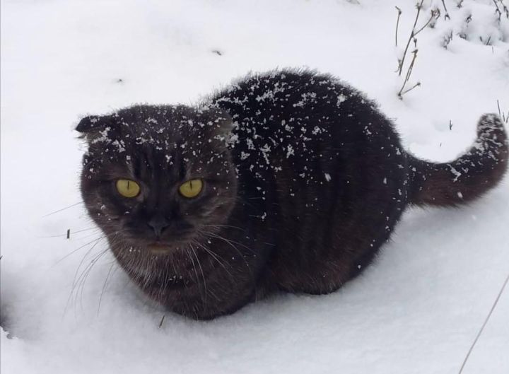 В Челнах завтра обещают пасмурный и снежный день