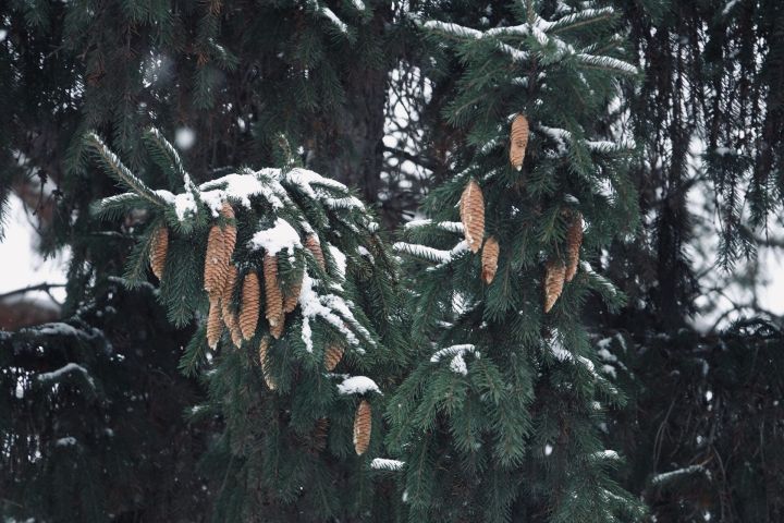 В Челнах завтра обещают небольшой снегопад