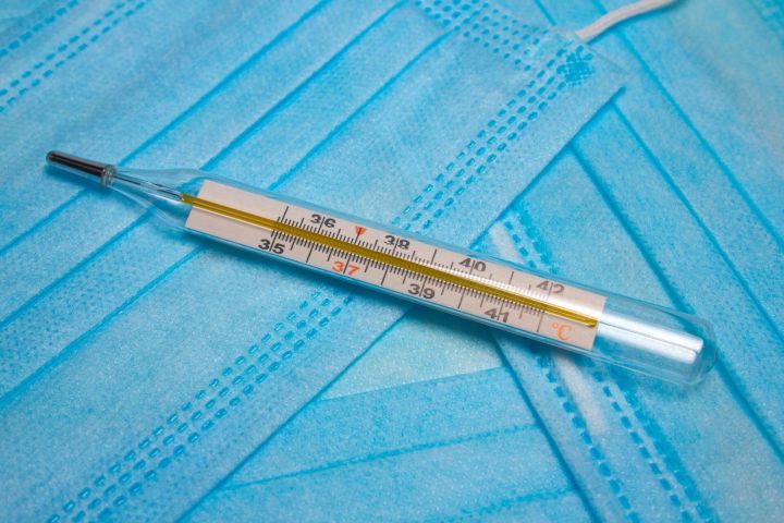 Эпидпорог превышен: в Татарстане растёт заболеваемость гриппом и ОРВИ