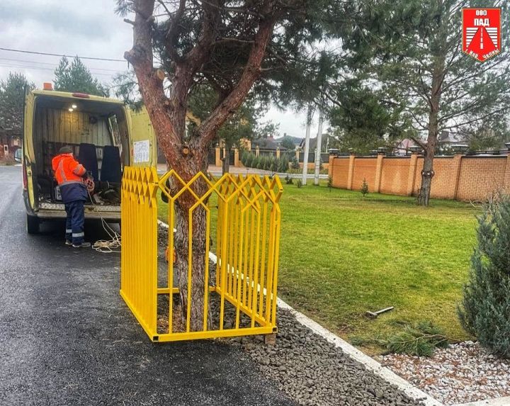 Дороге быть, дереву жить: в 71-м микрорайоне построили “садик” для сосны