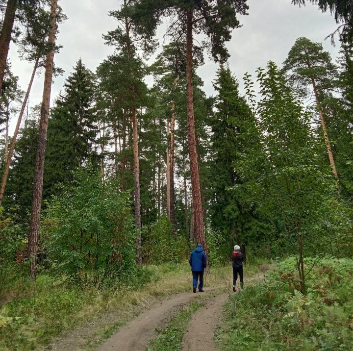 Оформить путевку в санаторий пенсионеры смогут не выходя из дома