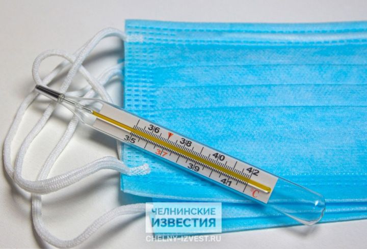 ОРВИ растет: в Челнах несколько классов отправили на дистант