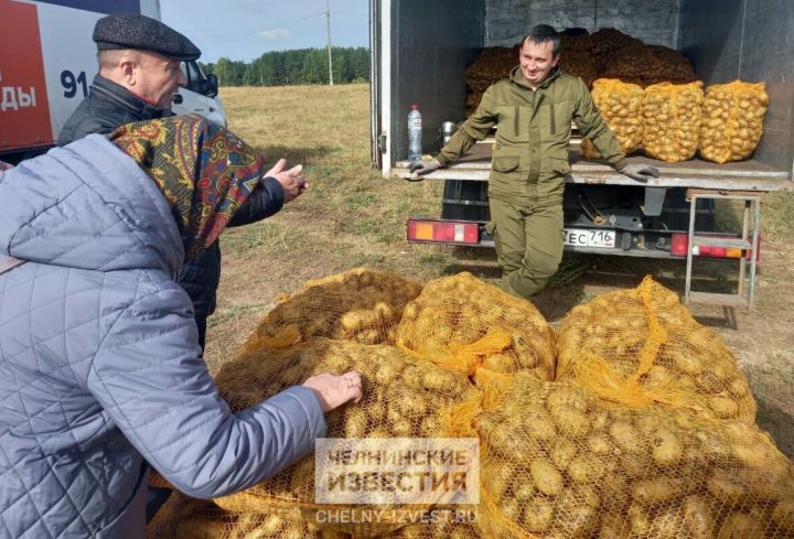 В Татарстане наиболее подорожавшим продуктом стал картофель