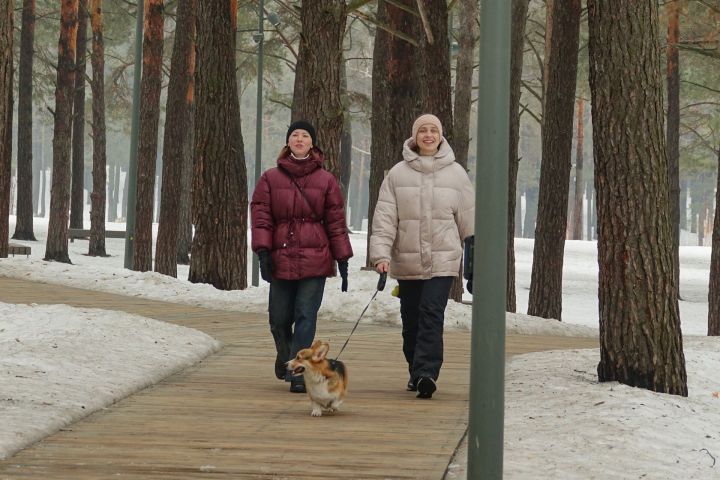 В субботу челнинцам обещают солнечный день