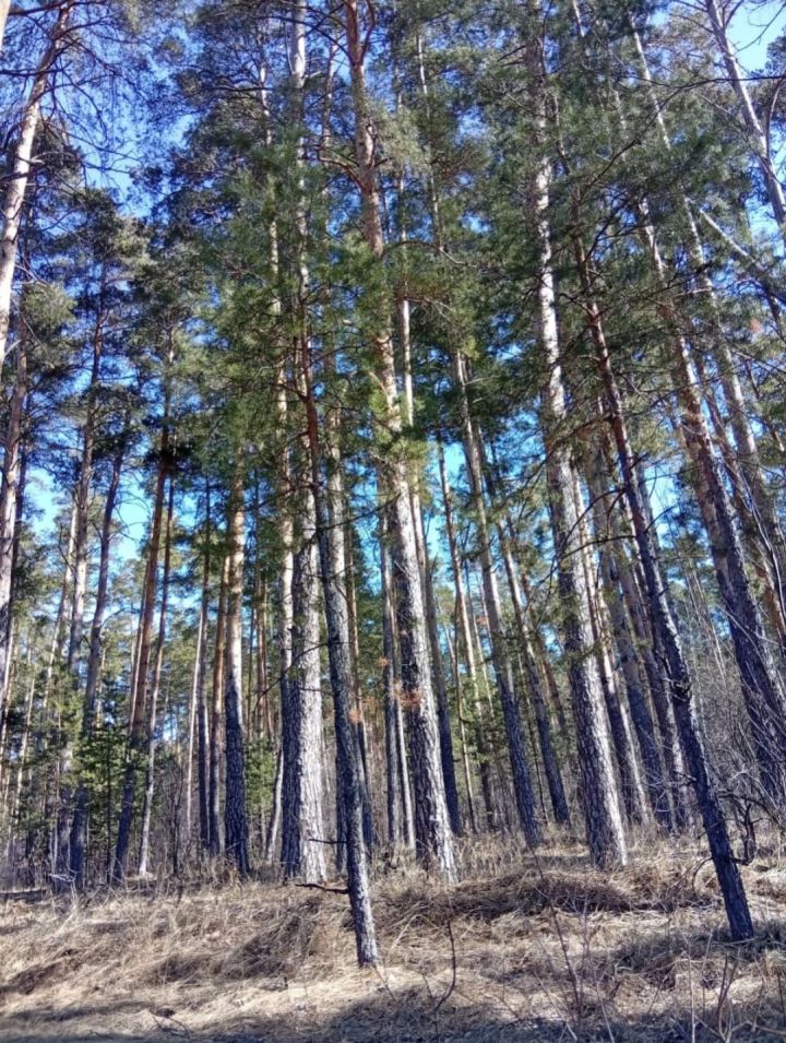 В Татарстане значительно потеплеет