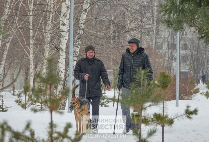 Метеоролог КФУ рассказал, каким будет март в Татарстане