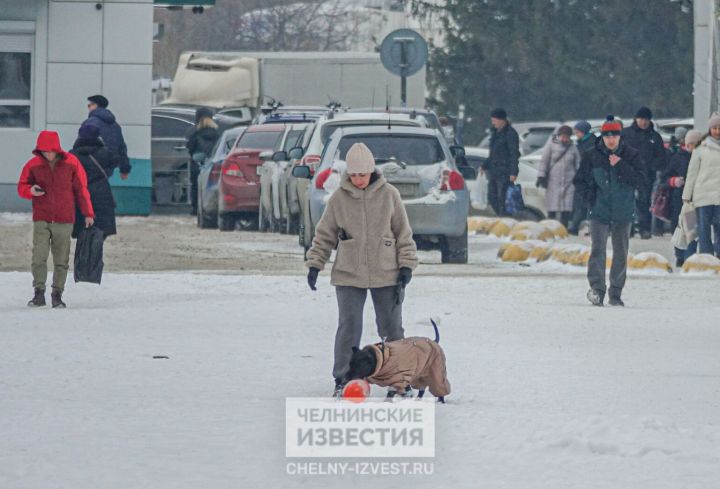 Под ногами каша, сверху дождь: в Татарстан идет весеннее тепло