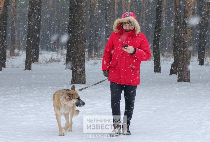 Бешеный ветер и мокрый снег: погода в Татарстане на 8 Марта