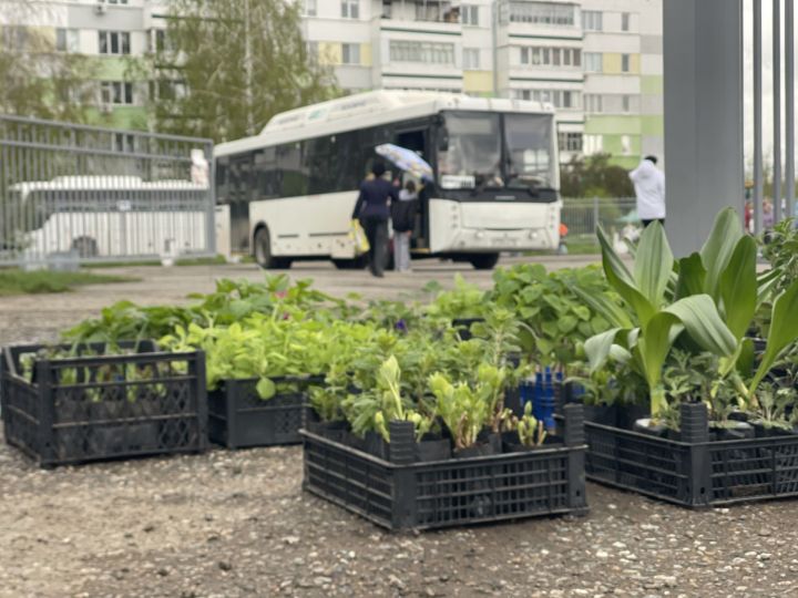 Фото: в Набережных Челнах стартовали перевозки на дачи Фото: в Набережных Челнах стартовали перевозки на дачи