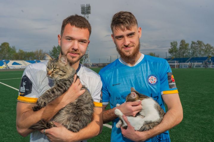 «Добрый спорт»: Кулич, Рыся и Цезарь ищут дом и любящих хозяев «Добрый спорт»: Кулич, Рыся и Цезарь ищут дом и любящих хозяев