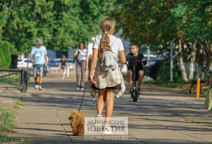 Лето вступает в права: синоптики Татарстана обещают жару без дождей