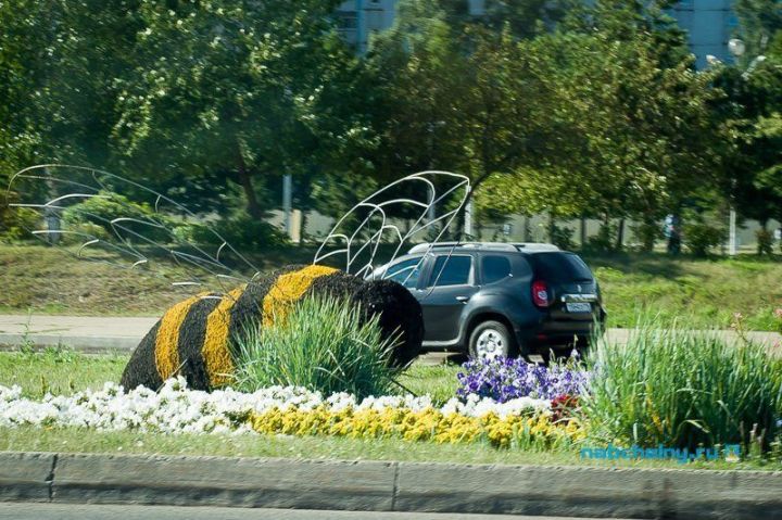 Летом в Набережных Челнах высадят более миллиона цветов Летом в Набережных Челнах высадят более миллиона цветов