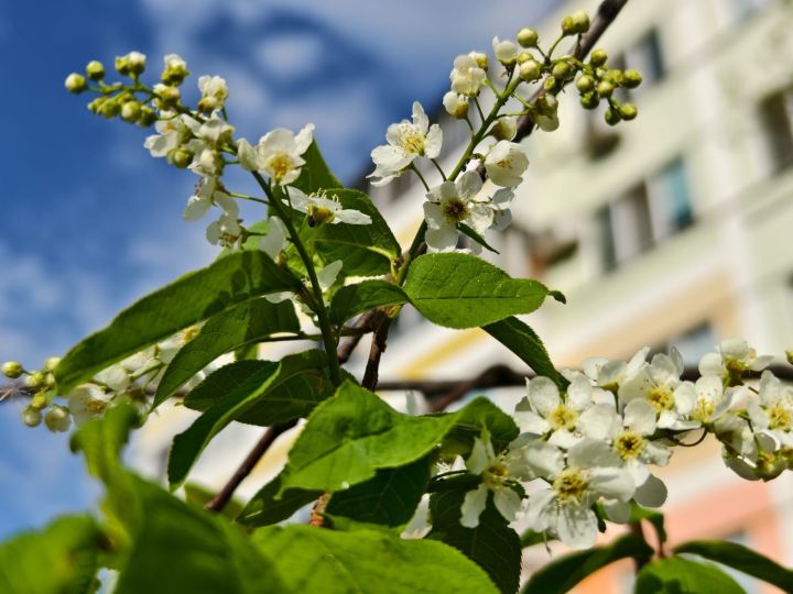 В субботу в Набережных Челнах выглянет солнце В субботу в Набережных Челнах выглянет солнце
