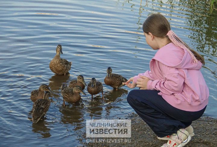Лето на паузе: циклон принесет в Татарстан неделю ненастья Лето на паузе: циклон принесет в Татарстан неделю ненастья