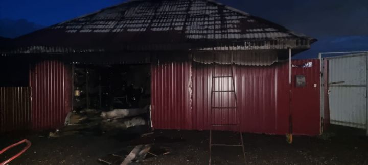Пожар в Сосновом бору: в Тукаевском районе огнеборцы смогли спасти баню Пожар в Сосновом бору: в Тукаевском районе огнеборцы смогли спасти баню