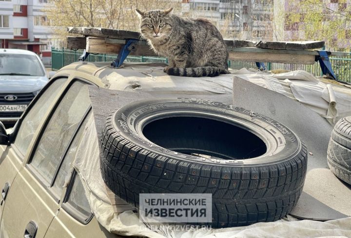 В Челнах скинутая с 25-го этажа автошина повредила автомобиль В Челнах скинутая с 25-го этажа автошина повредила автомобиль