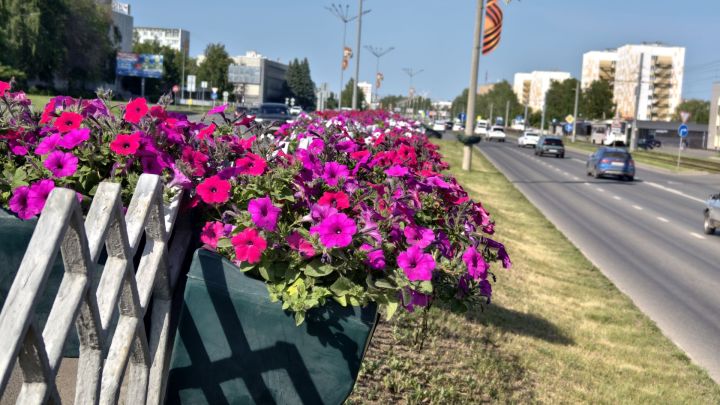 В Татарстане ожидаются сильные ливни В Татарстане ожидаются сильные ливни