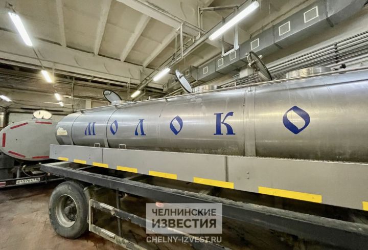 В Татарстане подорожала «молочка», но подешевели овощи В Татарстане подорожала «молочка», но подешевели овощи