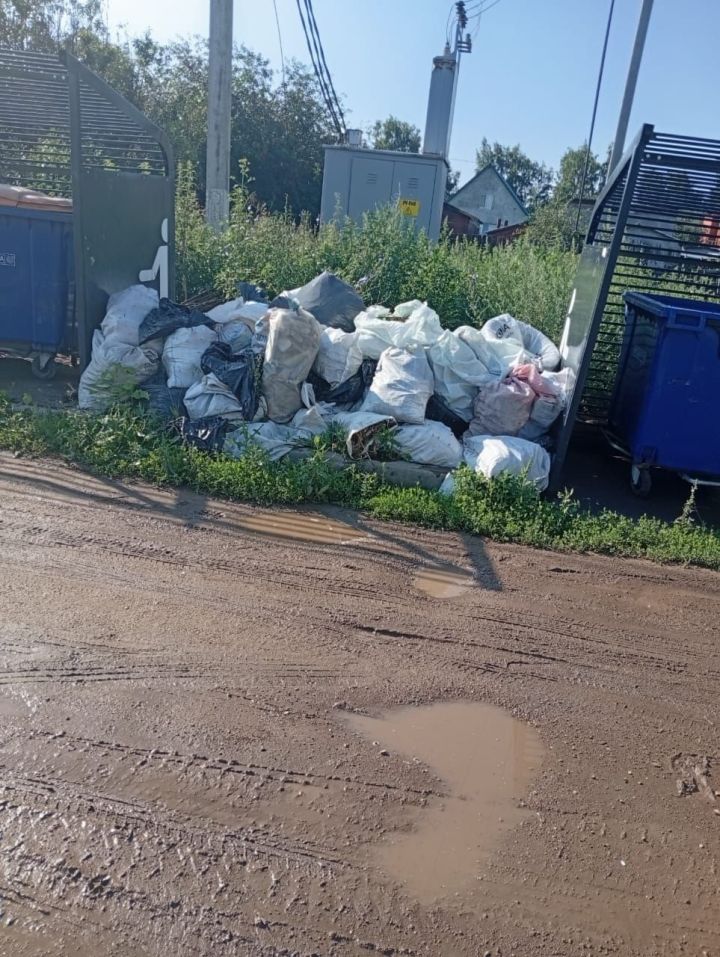 «Гринта» ответила на жалобу жителей Бетьков на невывоз мусора