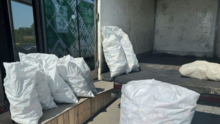Из первого пункта раздельного сбора «Гринты» вывезли 700 кг