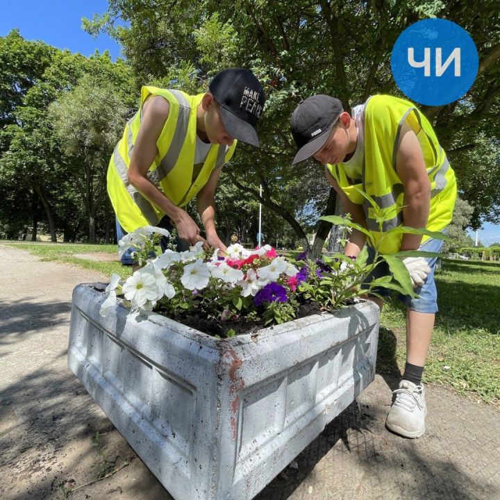 В Челнах с начала года трудоустроили 2 тысячи подростков В Челнах с начала года трудоустроили 2 тысячи подростков