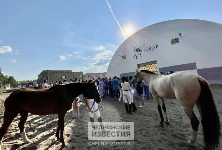 Внимание, розыгрыш: челнинцы завалили яблоками конноспортивную школу «Тулпар»