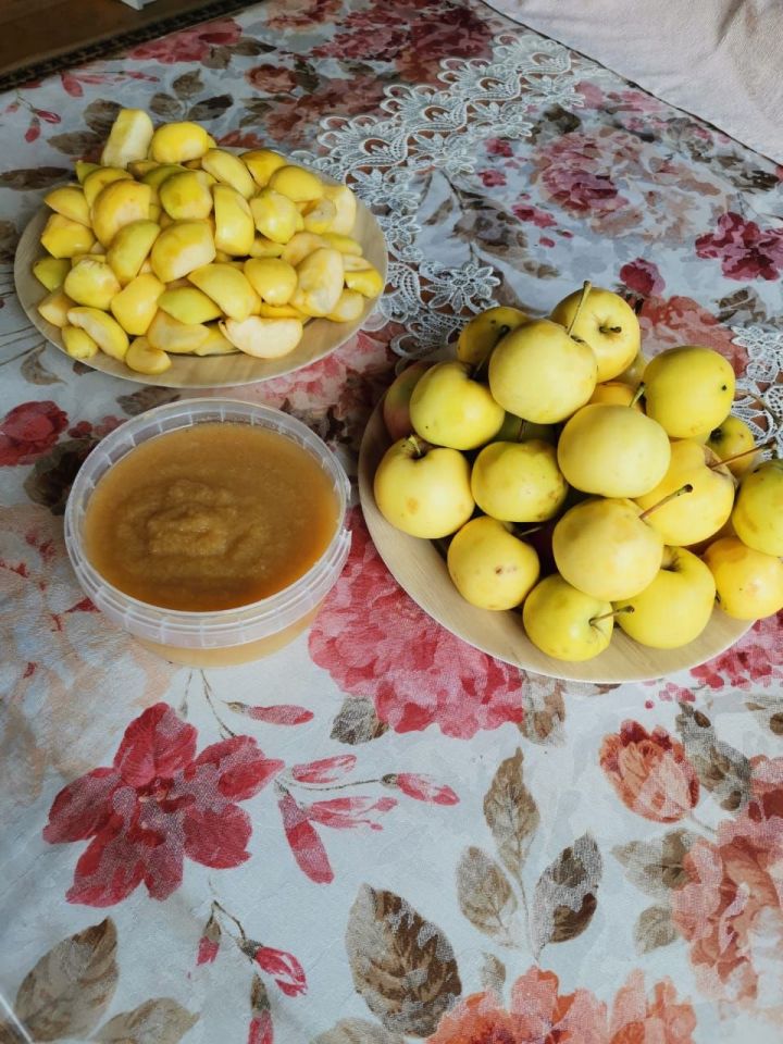 Рецепт вкуснейшего золотого пюре из яблок «китайка» без сахара Рецепт вкуснейшего золотого пюре из яблок «китайка» без сахара