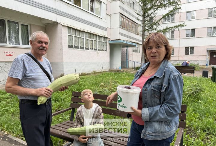 Горячие обеды и ведра фруктов: челнинский пенсионер взял шефство над сиротой