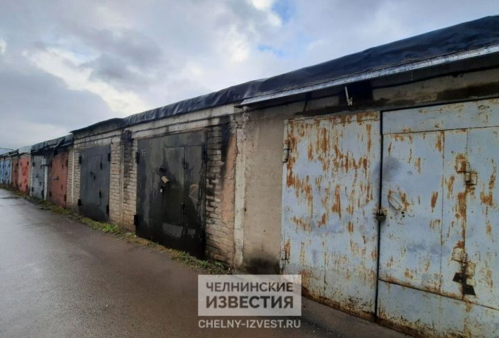«Почему ты, как петух, прыгаешь»: как одна фраза привела к избиению трубами «Почему ты, как петух, прыгаешь»: как одна фраза привела к избиению трубами