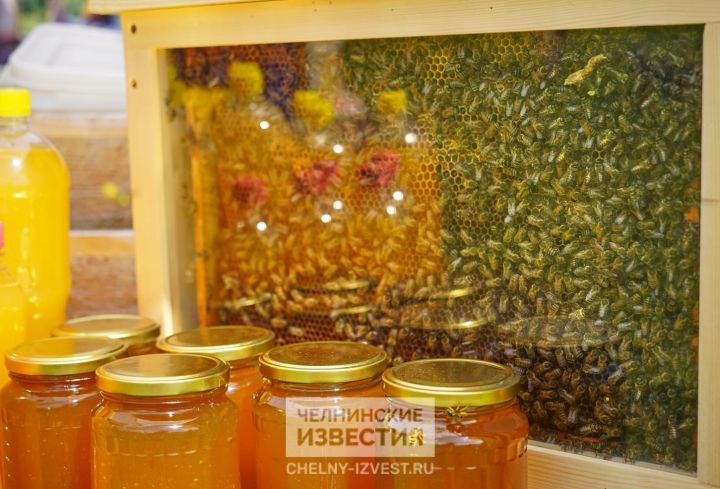 Медовая традиция: как супруги из Челнов организовали бизнес для жениха-пасечника Медовая традиция: как супруги из Челнов организовали бизнес для жениха-пасечника