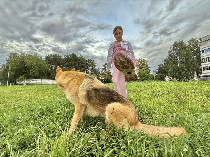«Как рука поднялась?»: полицию заинтересовало видео с маленьким живодером