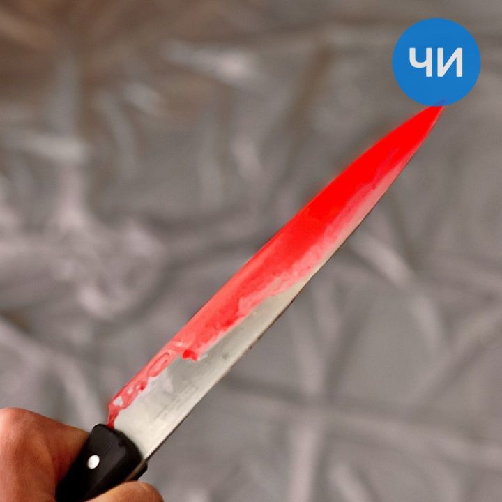 В Мензелинске 11-летняя девочка убила брата и тяжело ранила бабушку