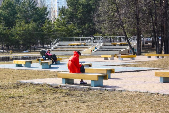 Земля – не больше гектара: какое имущество можно иметь для получения единого пособия