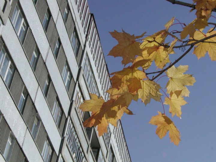 Пока москвичи будут мерзнуть, татарстанцы будут наслаждаться бабьим летом