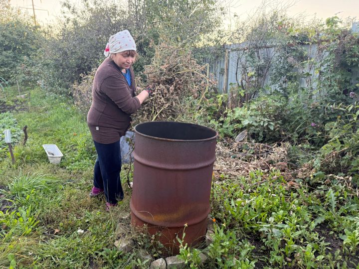 Компост, брикеты, цветочный грунт: что делать с осенним «ковром» из листьев Компост, брикеты, цветочный грунт: что делать с осенним «ковром» из листьев